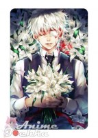 Tokyo Ghoul 29